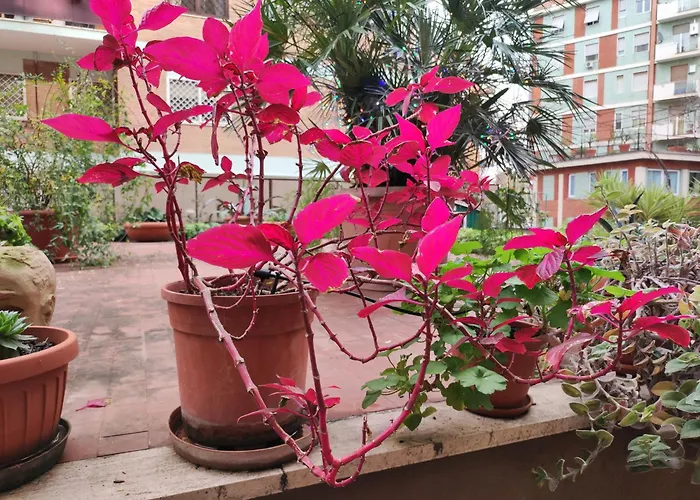 Appartamento Terrazza Di Ernesto