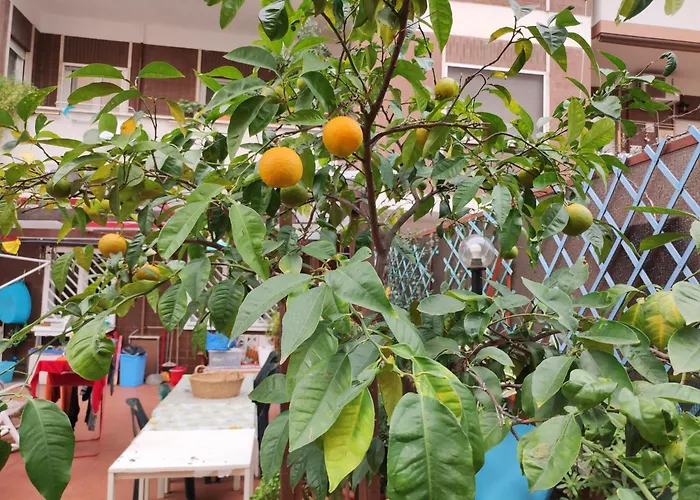 Appartamento Terrazza Di Ernesto Roma